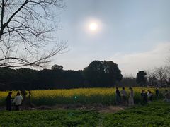 -明蜀王陵(地铁站)