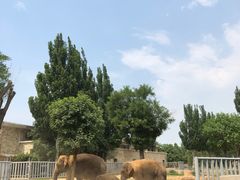 -石家庄市动物园