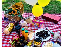 -长白岛森林公园