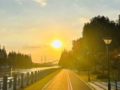 -上海中医药大学附属曙光医院(东部)