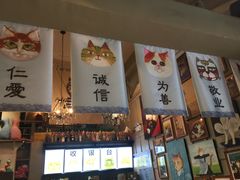 -猫咪博物馆(顶澳仔猫街店)