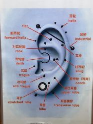 -AI艾耳·专业手工耳洞·穿孔美学馆