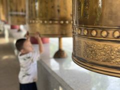 -龙口南山旅游景区