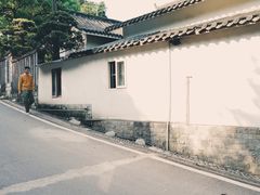 -南山植物园