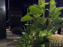 -唐拉雅秀酒店-西锦汇空中BBQ·思创餐厅