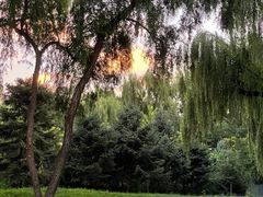 -枫花园汽车电影院(朝阳公园店)