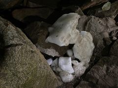 -秦岭终南山世界地质公园翠华山景区