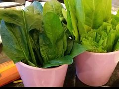 -老长春果木炭涮羊肉(东田·青年城店)