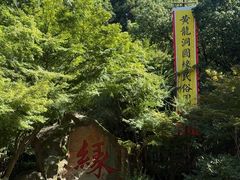 -杭州黄龙洞