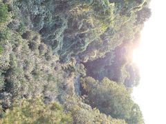 -西山风景区