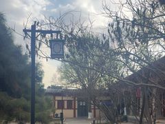 -洛阳古墓博物馆