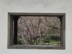 -秋霞圃