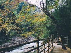 -梁野山景区