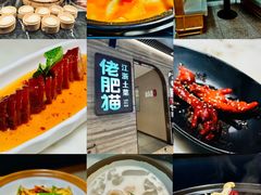 -佬肥猫(国华广场店)