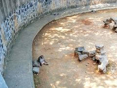 -太子山公园(园东路)