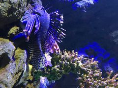 -南昌海洋公园