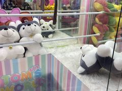 -汤姆熊欢乐世界(罗斯福店)