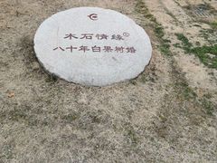 -千年银杏谷文化旅游区