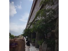 -挪亚方舟度假酒店