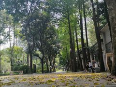 -晓港公园