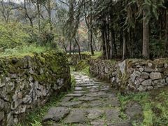 -唐崖土司城遗址