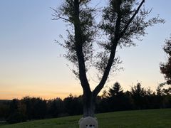 -长春世界雕塑园冰雪艺术天地