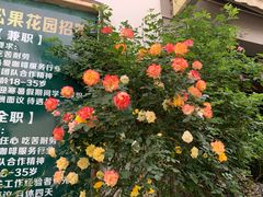 -衣裳街历史文化街区