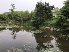-白马涧龙池景区