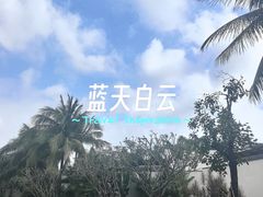 -三亚亚龙湾红树林度假酒店