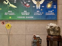 -中华赏石园