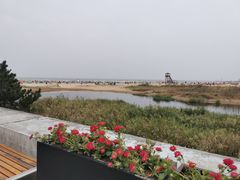 -日照海滨国家森林公园
