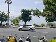 -野菌皇海景野生菌火锅(滨海大道店)