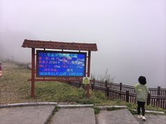 -海南热带雨林国家公园吊罗山景区