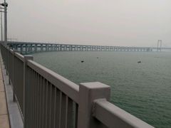 -星海湾跨海大桥