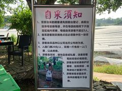 -向葡萄庄园