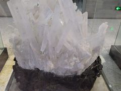-河南自然博物馆
