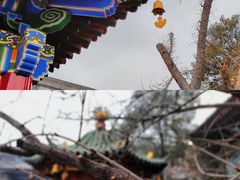 -西安市广仁寺