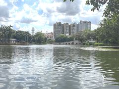 -荔湾湖公园