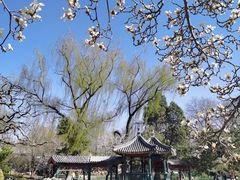 -宣武艺园