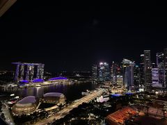 -新加坡瑞士史丹福酒店