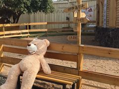 -HERRE·FARM 赫尔露营农场·团建聚会包场