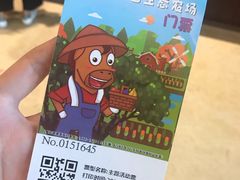 -迪茵湖田家舍生态农场