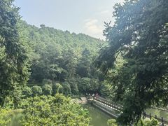 -九龙潭景区