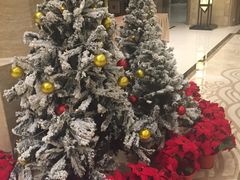 -常州逸高酒店-中餐厅