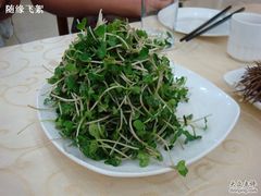 糖醋萝卜苗-海岛渔村大酒店(云霄路店)