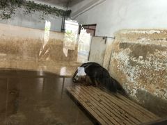 -石家庄市动物园