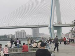 -万绿园