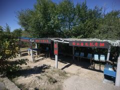 -北京西山国家森林公园