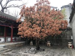 -上海老饭店(北京分店)