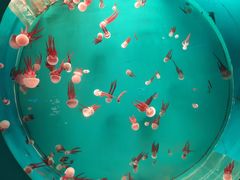 -多彩贵州城极地海洋世界